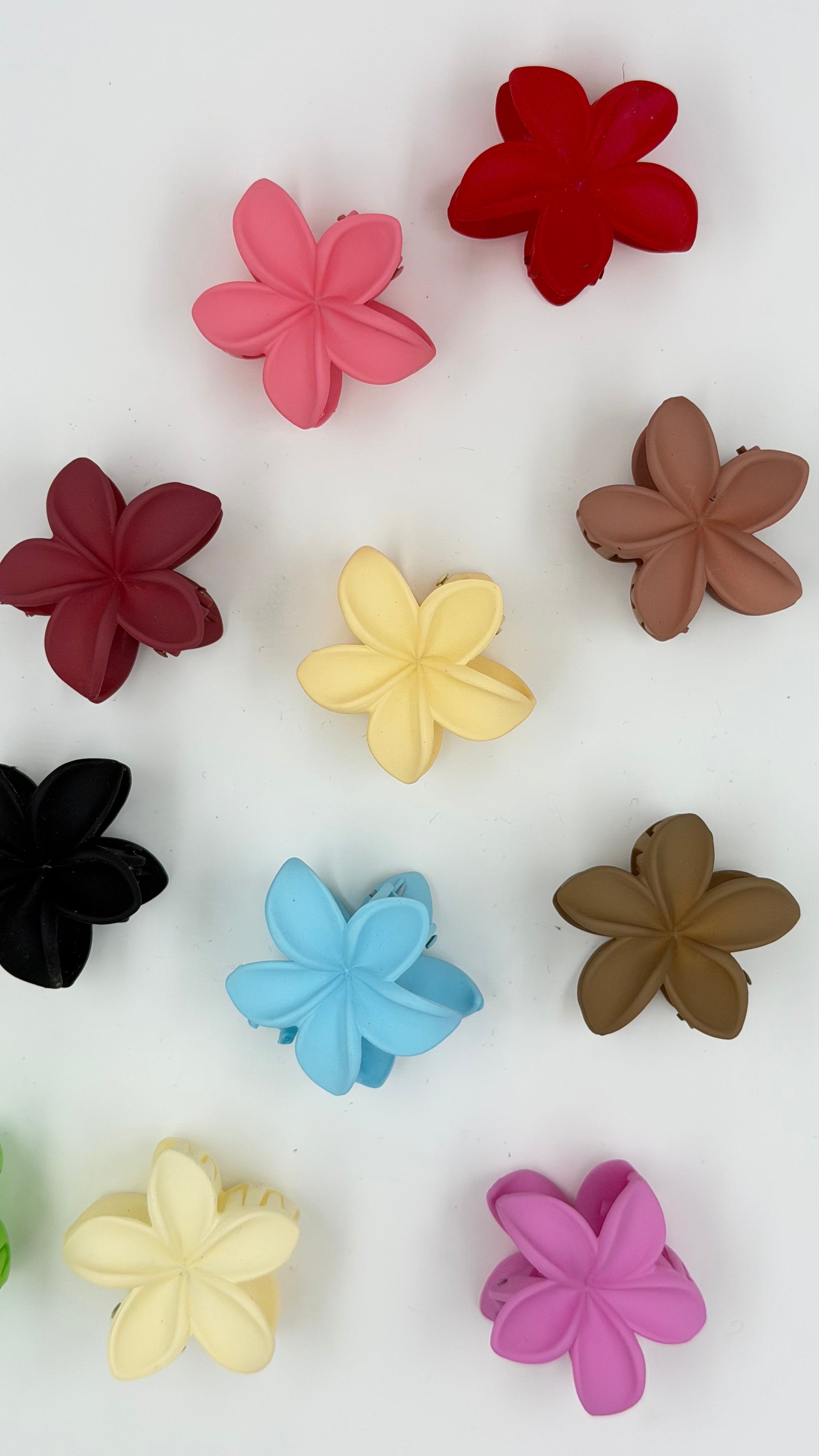 Avaara Bloom Matte Small Claw